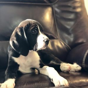 Meet your Posher, Briana